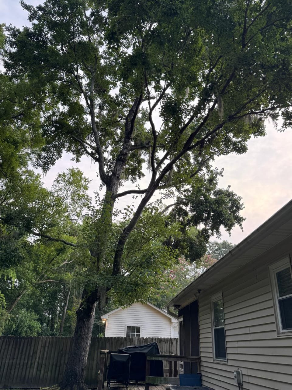 Lion Tree Service and Landscaping LLC project photo 9